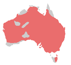 kakadu wystepowanie